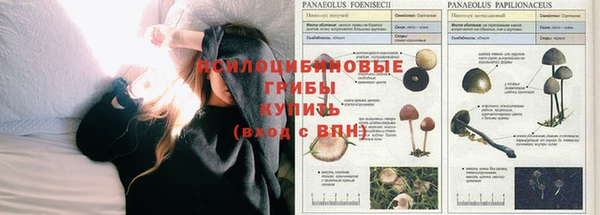 альфа пвп VHQ Чекалин