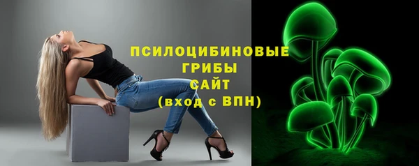 амф Гусь-Хрустальный