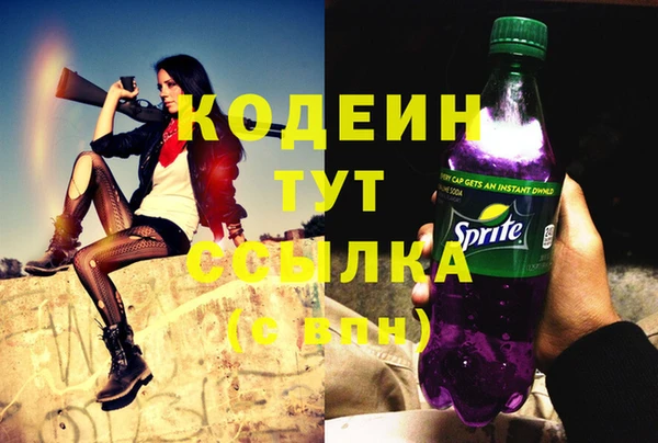 молекула духа Ладушкин