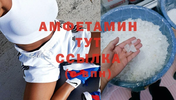амф Гусь-Хрустальный