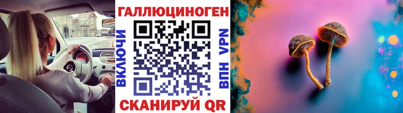 сайты даркнета клад  наркота  Енисейск  Галлюциногенные грибы мухоморы 